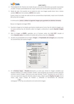 GIMP PARTE I 
9 
 
2. Profundidad de bit. Número de niveles de gris o de colores diferentes que puede representar 
un píxel.