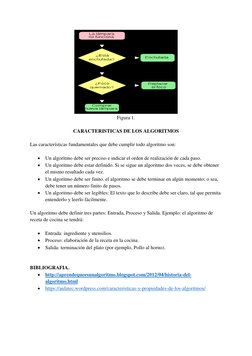 Figura 1. 
 
CARACTERISTICAS DE LOS ALGORITMOS 
 
Las características fundamentales que debe cumplir todo algoritmo son: