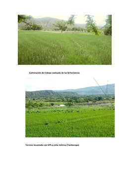 Culminación de trabajo realizado de las 50 hectáreas 
  
 
 
 
Terreno levantado con GPS y cinta métrica (Tamborapa)