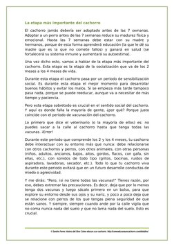 La etapa más importante del cachorro
El cachorro  jamás  debería  ser adoptado antes  de  las  7 semanas.
Adoptar a un perro