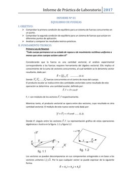 Informe de Práctica de Laboratorio 2017 
 
INFORME Nº 01 
EQUILIBRIO DE FUERZAS 
I. OBJETIVO: 
 Comprobar la primera condici
