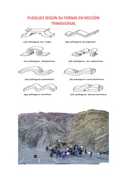 PLIEGUES SEGÚN SU FORMA EN SECCIÓN 
TRANSVERSAL 
 
 
 
 
