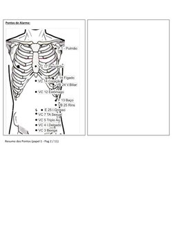 Resumo dos Pontos (papel 1 - Pag 2 / 11) 
 
 
 
 
 
 
 
 
 
 
 
 
 
Pontos de Alarme: