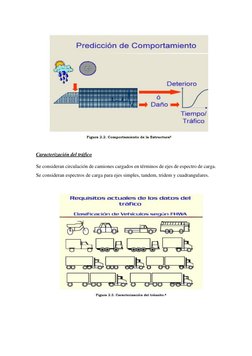 Caracterización del tráfico 
Se consideran circulación de camiones cargados en términos de ejes de espect