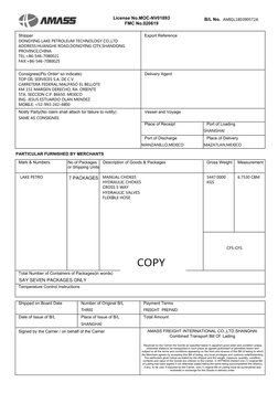 MANUAL CHOKES
HYDRAULIC CHOKES
CROSS 5 WAY
HYDRAULIC VALVES
FLEXIBLE HOSE
Signed by the Carrier / on behalf of the Carrier