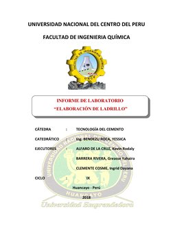 UNIVERSIDAD NACIONAL DEL CENTRO DEL PERU 
FACULTAD DE INGENIERIA QUÍMICA