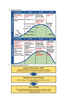 8. Product Life Cycle 
 
 
9. Strategy Development Process 
 
 
