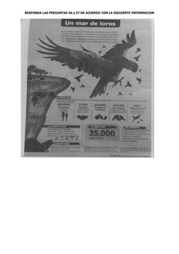 RESPONDA LAS PREGUNTAS 56 y 57 DE ACUERDO CON LA SIGUIENTE INFORMACION 
 
 
 
 
 
 
 
 
 
 
 
 
 
 
 
 
 
 
 
 
 
 
 
 
 
