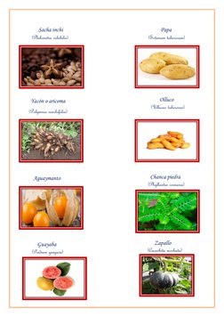 (https://www.google.com.pe/imgres?imgurl=http://img.botanicayjardines.com/cucurbita-maxima-2139/02-cucurbita-maxima-fruto-me