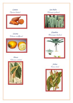 (https://www.google.com.pe/imgres?imgurl=https://i.ebayimg.com/images/g/1BEAAOSw-W5Uv4qT/s-l300.jpg&imgrefurl=https://www.eb