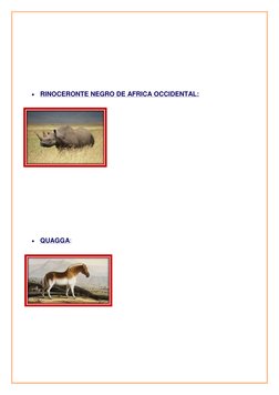  
 
 
 
 
 
 
 RINOCERONTE NEGRO DE AFRICA OCCIDENTAL: 
 
 
 
 
 
 
 
 
 
 
 
 
 
 QUAGGA: 
 
 
 
 
 
 
 
 
 
 
 
 
 
