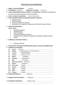 PROTOCOLO DE NECROPSIA 
 
 
1. ANIMAL O CADAVER REMITIDO:                VACUNO  
2. PROCEDENCIA: FERREÑAFE             NOMBR