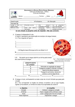 AGRUPAMENTO DE ESCOLAS PINTOR ALMADA NEGREIROS
Ciências da Natureza – 6ºAno
Ficha de Avaliação
Nome:  _______________________