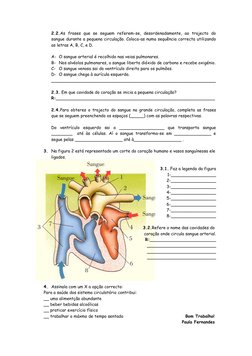 2.2.As  frases  que  se  seguem  referem-se,  desordenadamente,  ao  trajecto  do 
sangue durante a pequena circulação. Coloc