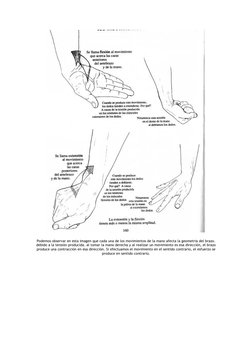 Podemos observar en esta imagen que cada una de los movimientos de la mano afecta la geometria del brazo. 
debido a la tensió