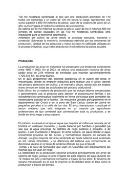 100 mil hectáreas sembradas al año con una producción promedio de 110
bultos por hectáreas y un costo de 120 mil pesos la car