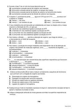 Página 6 de 6 
2. Durante a fase F de um ciclo de trocas descontínuas vai 
(A) aumentando a pressão parcial de oxigénio nas t