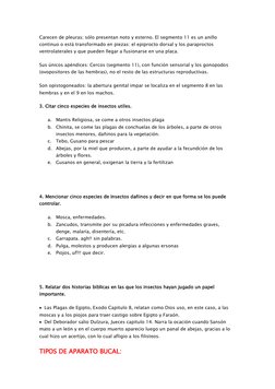Carecen de pleuras; sólo presentan noto y esterno. El segmento 11 es un anillo 
continuo o está transformado en piezas: el ep
