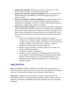  
Aparato bucal masticador: Herbívoros, carnívoros y omnívoros. Es el más 
primitivo; descrito junto con la descripción de l