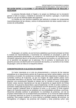 DEPARTAMENTO DE BIOQUÍMICA HUMANA 
MATERIA QUÍMICA BIOLÓGICA - CICLO LECTIVO 2017 
2 
 
RELACIÓN ENTRE LA GLUCEMIA Y LOS NIVE