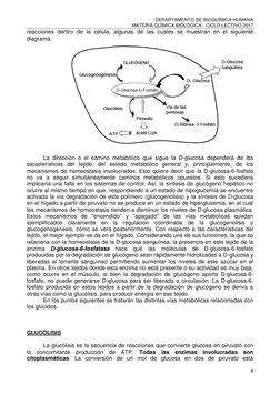 DEPARTAMENTO DE BIOQUÍMICA HUMANA 
MATERIA QUÍMICA BIOLÓGICA - CICLO LECTIVO 2017 
4 
 
reacciones dentro de la célula, algun