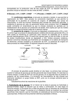 DEPARTAMENTO DE BIOQUÍMICA HUMANA 
MATERIA QUÍMICA BIOLÓGICA - CICLO LECTIVO 2017 
5 
 
acompañada por la producción neta de