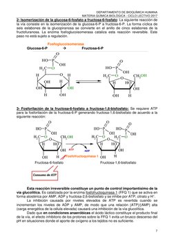 DEPARTAMENTO DE BIOQUÍMICA HUMANA 
MATERIA QUÍMICA BIOLÓGICA - CICLO LECTIVO 2017 
7 
 
2- Isomerización de la glucosa-6-fosf