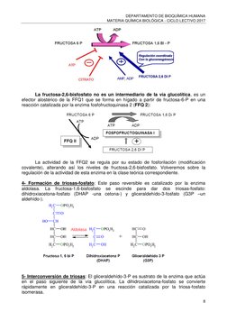 DEPARTAMENTO DE BIOQUÍMICA HUMANA 
MATERIA QUÍMICA BIOLÓGICA - CICLO LECTIVO 2017 
8 
 
 
La fructosa-2,6-bisfosfato no es un