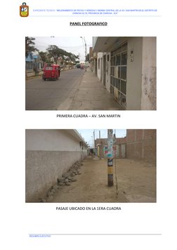 EXPEDIENTE TECNICO: “MEJORAMIENTO DE PISTAS Y VEREDAS Y BERMA CENTRAL DE LA AV. SAN MARTIN EN EL DISTRITO DE 
CHINCHA A