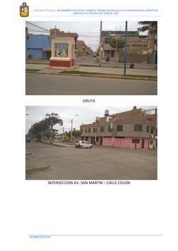 EXPEDIENTE TECNICO: “MEJORAMIENTO DE PISTAS Y VEREDAS Y BERMA CENTRAL DE LA AV. SAN MARTIN EN EL DISTRITO DE 
CHINCHA A
