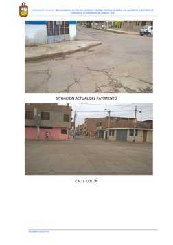 EXPEDIENTE TECNICO: “MEJORAMIENTO DE PISTAS Y VEREDAS Y BERMA CENTRAL DE LA AV. SAN MARTIN EN EL DISTRITO DE 
CHINCHA A