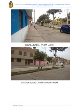 EXPEDIENTE TECNICO: “MEJORAMIENTO DE PISTAS Y VEREDAS Y BERMA CENTRAL DE LA AV. SAN MARTIN EN EL DISTRITO DE 
CHINCHA A