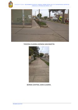 EXPEDIENTE TECNICO: “MEJORAMIENTO DE PISTAS Y VEREDAS Y BERMA CENTRAL DE LA AV. SAN MARTIN EN EL DISTRITO DE 
CHINCHA A
