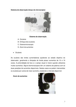 7 
Sistema de observação (braço do microscópio) 
 
 
Sistema de observação  
A. Oculares 
B. Enfoque dos oculares 
C. Ester