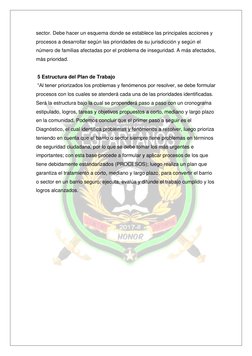 sector. Debe hacer un esquema donde se establece las principales acciones y 
procesos a desarrollar según las prioridades