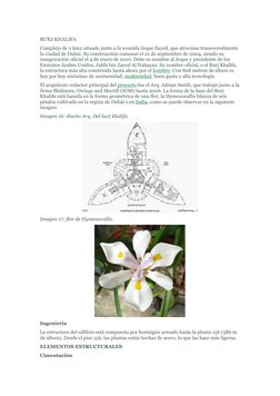BURJ KHALIFA 
Complejo de 2 km2 situado junto a la avenida Jeque Zayed, que atraviesa transversalmente 
la ciudad de Dubái. S