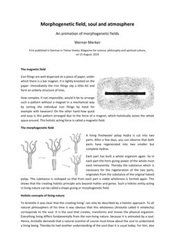 Morphogenetic field, soul and atmosphere 
An animation of morphogenetic fields 
Werner Merker 
First published in German in T