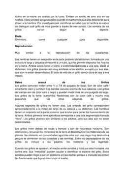 Activo en la noche; es atraído por la luces. Emiten un sonido de tono alto en las 
noches. Esos sonidos son producidos cuando