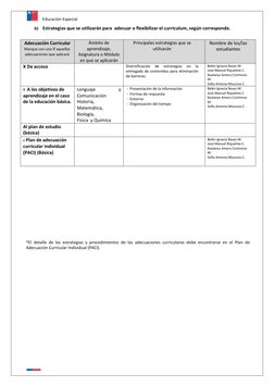 Educación Especial 
 
 
b) Estrategias que se utilizarán para  adecuar o flexibilizar el currículum, según corresponda.