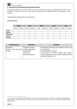 Educación Especial 
 
2.- Reuniones de Coordinación del Equipo de Aula2 
 
Es importante planificar las reuniones, definir lo