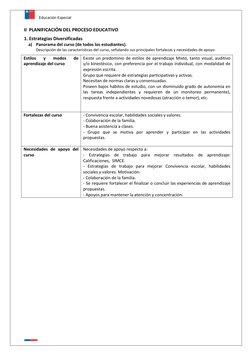 Educación Especial 
 
 
II  PLANIFICACIÓN DEL PROCESO EDUCATIVO 
 
1. Estrategias Diversificadas 
a) Panorama del curso (de t