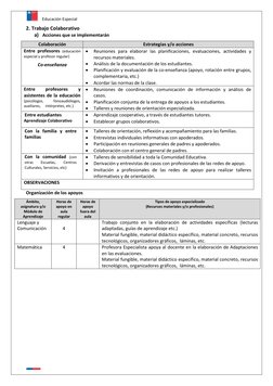 Educación Especial 
 
 
2. Trabajo Colaborativo 
a) Acciones que se implementarán  
 
Colaboración  
Estrategias y/o acciones