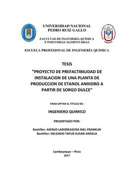UNIVERSIDAD NACIONAL
PEDRO RUIZ GALLO
FACULTAD DE INGENIERÍA QUÍMICA
E INDUSTRIAS ALIMENTARIAS
ESCUELA PROFESIONAL