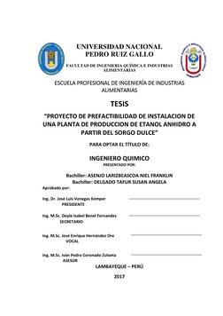 UNIVERSIDAD NACIONAL
PEDRO RUIZ GALLO
FACULTAD DE INGENIERIA QUÍMICA E INDUSTRIAS
ALIMENTARIAS
ESCUELA PROFESIONAL