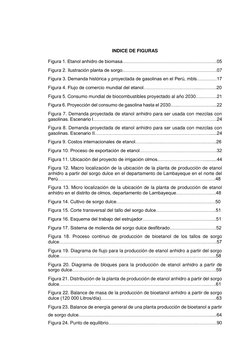 INDICE DE FIGURAS
Figura 1. Etanol anhidro de biomasa…………………………………………………….05
Figura 2. Ilustración planta de sorgo……………