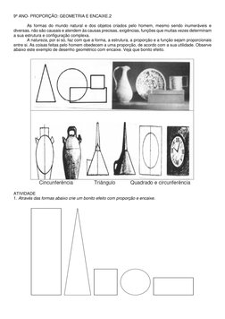9º ANO- PROPORÇÃO: GEOMETRIA E ENCAIXE.2 
 
As formas do mundo natural e dos objetos criados pelo homem, mesmo sendo inumeráv