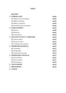 INDICE 
 
      RESUMEN 
 
 
 
 
 
 
 
  
1. INTRODUCCIÓN 
 
 
 
 
 
 
 
pag.04  
1.1. Objetivos de la investigación