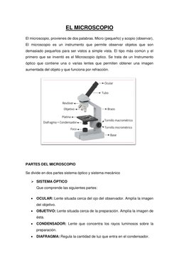 EL MICROSCOPIO 
El microscopio, provienes de dos palabras. Micro (pequeño) y scopio (observar), 
El microscopio es un instr