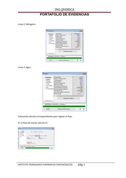 ING.QUIMICA
PORTAFOLIO DE EVIDENCIAS
Linea 2: Nitrogeno.
Linea 3: Agua.
Colocando valvulas correspondientes para regular el f