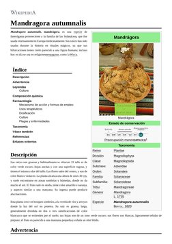 (https://es.wikipedia.org/wiki/Archivo:Mandragora (https://es.wikipedia.org/wiki/Mandragora)_patata_real.jpg)Mandrágora
Mand
